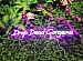 ABC23001 - DROP DEAD GORGEOUS